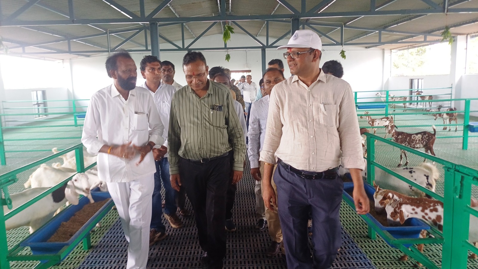 बड़वानी राष्ट्रीय पशुधन मिशन योजना से लाभान्वित संजय चौहान दे रहे प्रधानमंत्री एवं मुख्यमंत्री जी को धन्यवाद