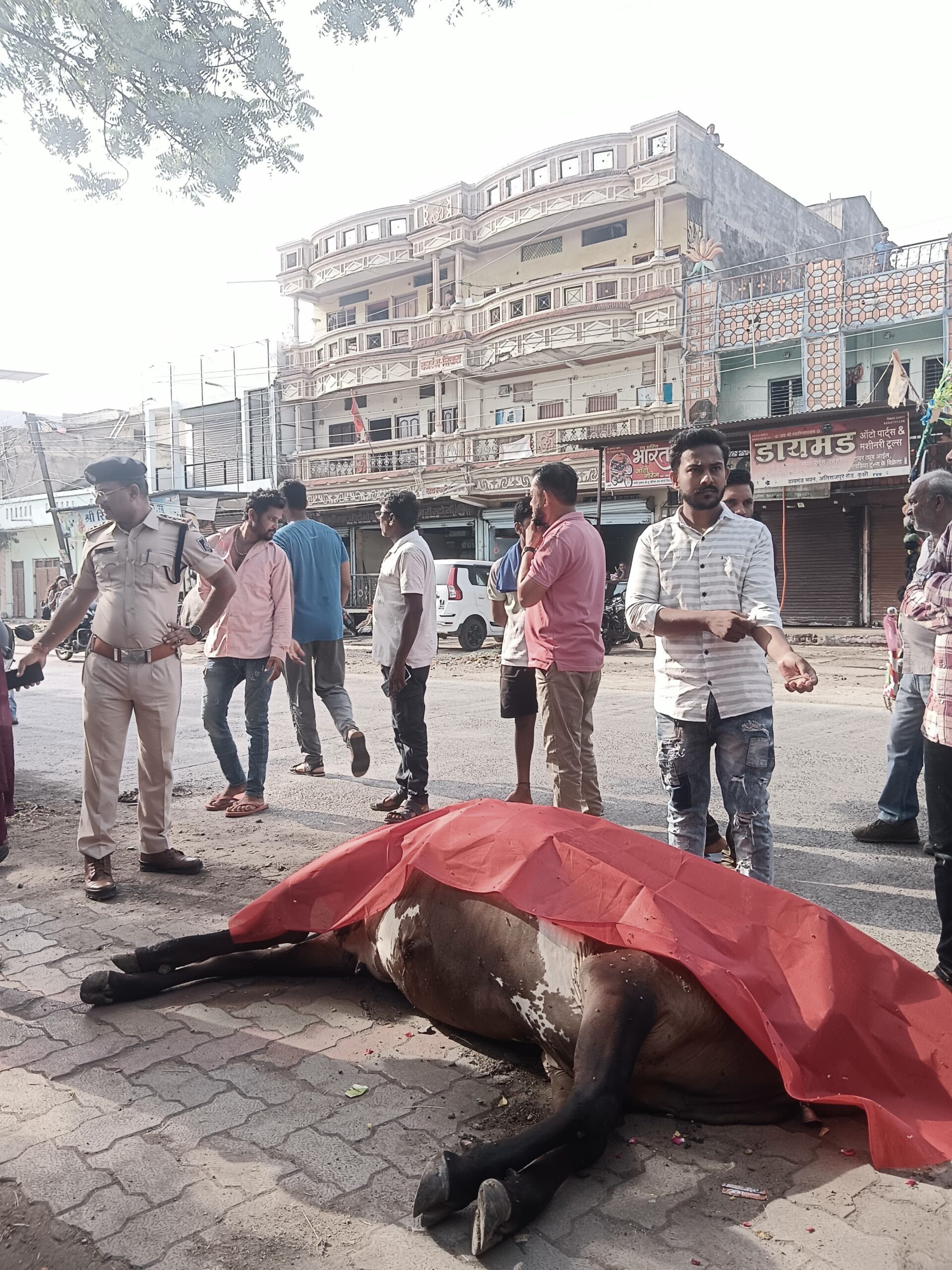 कुक्षी बजरग दल प्रखंड कुक्षी ने किया गो माता का अंतिम संस्कार