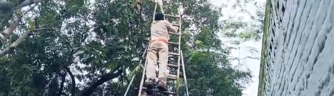 राजगढ़ मोहनखेड़ा जैन तीर्थ पर पेड़ पर दिखा अजगर, 8 फिट लंबे अजगर को वन विभाग ने रेस्क्यू कर जंगल में छोड़ा