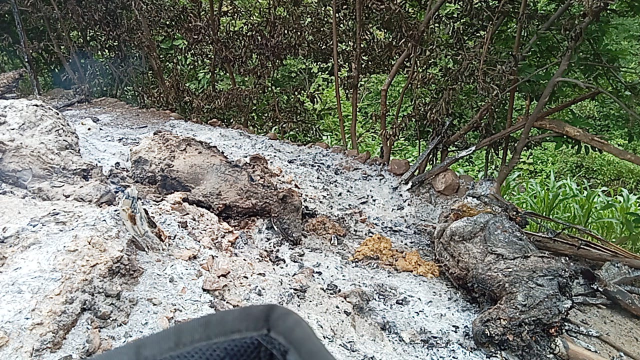 ग्राम भीलबरखेडा मैं खेत में बने मकान में लगी आग, दर्द से करहाते हुए चार मवेशी जिंदा जले रहवासी क्षेत्र से दूर खेत में मकान होने से सुबह आग लगने की जानकारी लगी